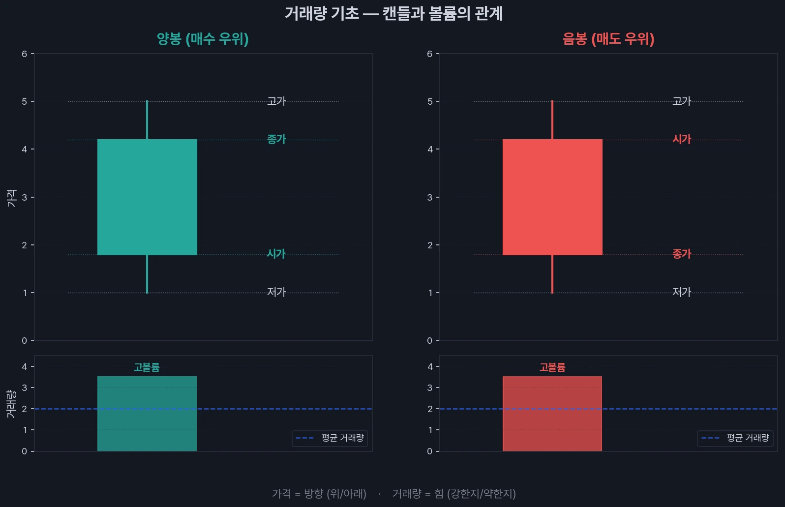 거래량 기초 개념 — 캔들과 볼륨의 관계 인포그래픽